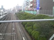 Ƃ񂳂̋w̃ccW̓eʐ^1