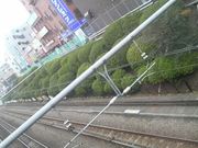 Ƃ񂳂̋w̃ccW̓eʐ^2