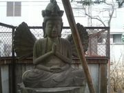 ���Ƃ��񂳂�̌������i���ω��j�̓��e�ʐ^4