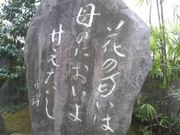 ���Ƃ��񂳂�̑�~���ق��낭�������̓��e�ʐ^4