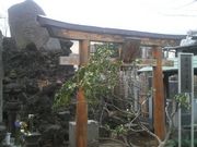 Ƃ񂳂̐g\s҂̓̕eʐ^2