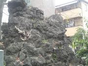 Ƃ񂳂̐g\s҂̓̕eʐ^3