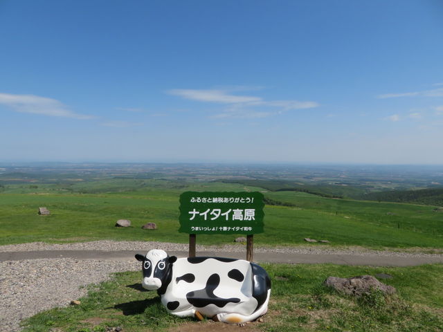 �i�C�^�C�����q�ꃌ�X�g�n�E�X_�i�C�^�C�����q��i�C�^�C�e���X