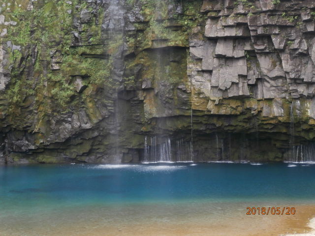 �G�������h�O���[���̑��_�Y��̑�