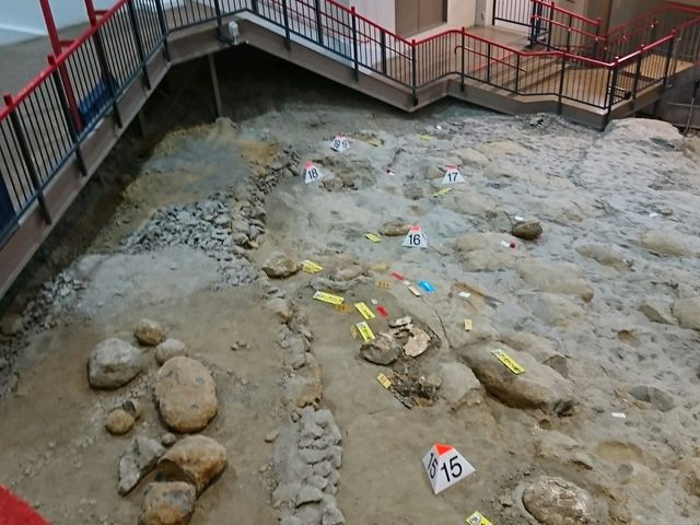 化石の発掘現場
その2
_いわき市アンモナイトセンター