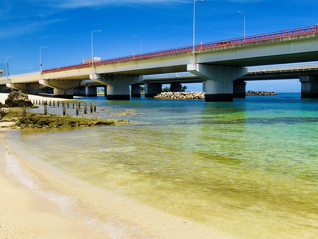 �ď�͊C�����q�œ��킢�܂�_�g�̏�r�[�`