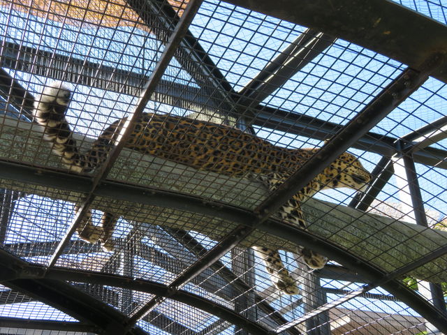 �E�͒��̃q���E_���R������