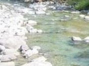 ANZ[JC̐XуLv̓eʐ^1