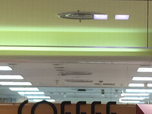 }񂳂̃TGo[R[q[nEX c_wrX̓eʐ^1