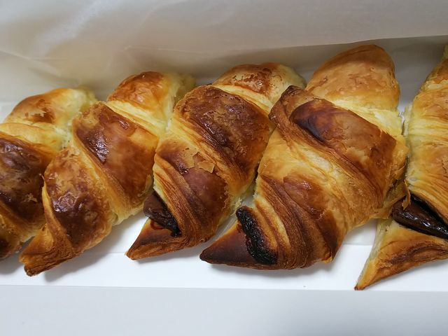 �T���}���N�J�t�F_�T���}���N�J�t�F ���~�c�������X