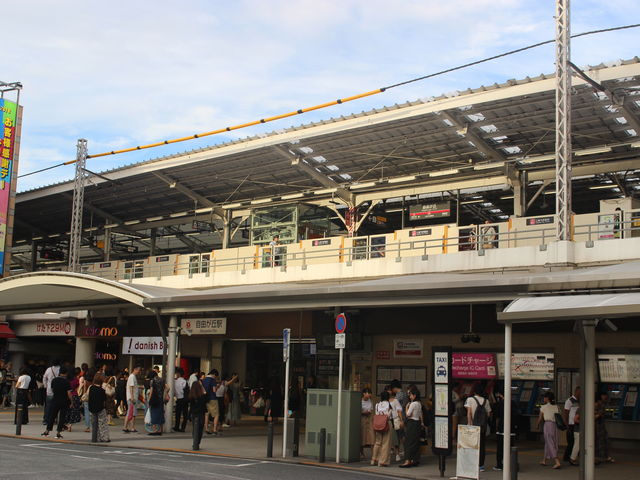 wɁ@QK͓̃z[܂B_}dSRuwiE䒬j