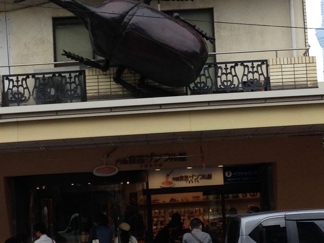 �H�i�T���v���̂��X_�����ϋ�����X