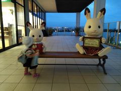 ẴCICN^EAEgbgւ̓eʐ^1