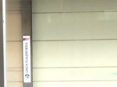 ��₳��̋�����̓��� ��̓������w�ւ̓��e�ʐ^1