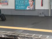 }񂳂̂iqٓVw̓eʐ^1