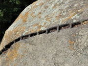 TKS̑Ί_ΐ؏Ղ̓eʐ^1