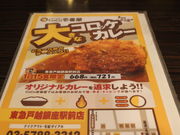 ̃J[nEXCoCoԉ}ˉzwOX̓eʐ^2