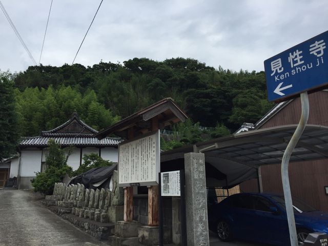 ��������񂳂�̌������̓��e�ʐ^1