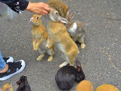 [̋xɑ v쓇ւ̓eʐ^1