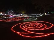 ̊|ܗuXт̓viܗ][gʂ̋j̓eʐ^1