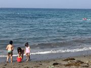 seichan2006̘acC̓eʐ^1