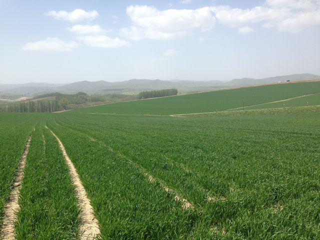 ��i_���l�x