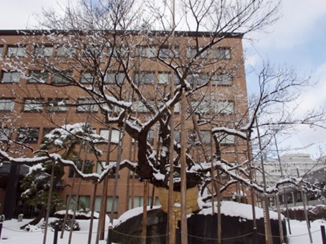 �͋����p_�Ί���