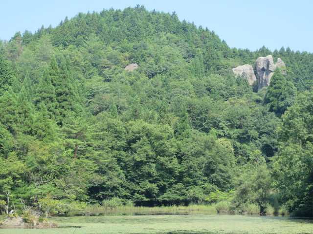 Ԃ񂳂̒߃P̒r̓eʐ^2