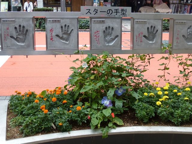 ���N�@�V������`���@�������Ă��܂�_�󑐌��