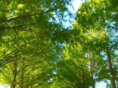 X}C̃^ZRCA؂ւ̓eʐ^1