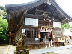 すずめめだかさんの桜井神社（岩戸宮）の投稿写真1