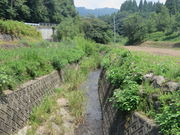 Ԃ񂳂̐c̃QccW̓eʐ^1