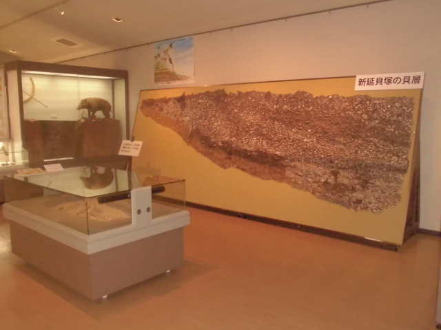 �L�ˁ@�������f��_�Ǝ蒬���j����������