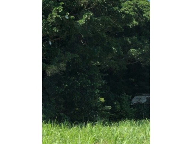 ���[�Â���̐ڎ��̓��e�ʐ^1