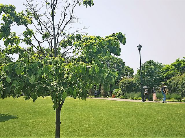 �A�����J�R����_�A�����J�R����