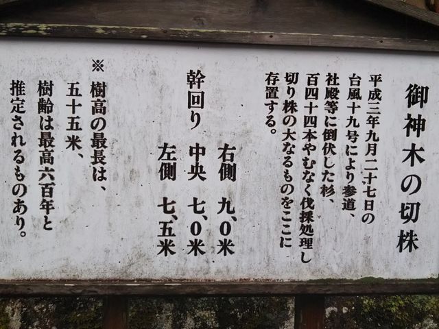 �F�ފ�����_��