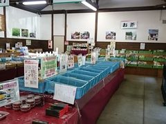 ܂܂̖؂̉ԃKeւ̓eʐ^1