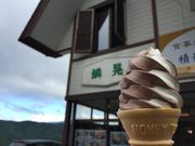 tara̗؍W  {X̓eʐ^1