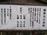 ۂ΂񂳂̉Fފ_Ђ̓eʐ^5