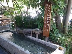 񂿂񂳂̖؂̉ԃKeւ̓eʐ^1