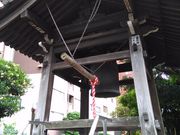 ���܂炳��̐���@�̓��e�ʐ^1