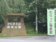 Ƃ񂳂̂ނYق̓eʐ^3