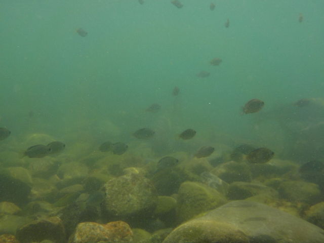 ��V�тɌ����������ȋ��B_�A�W���[�����q�C������