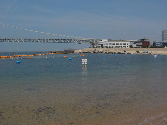 ��9����̎ʐ^�ł��B_�A�W���[�����q�C������