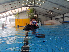 AbL[̃_CrOVbvKIAORAւ̓eʐ^1