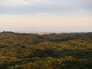 ܁[ƃni񂳂̑TRXьW]̓eʐ^2