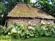 llO̐쑺JqgACkLOڂ̓eʐ^1