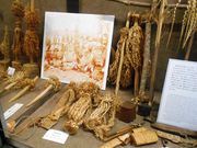 llO̐쑺JqgACkLOڂ̓eʐ^2