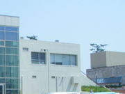 mitu̕ĎqsFsv[̓eʐ^1