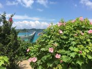 poporon̊p勴̓eʐ^5